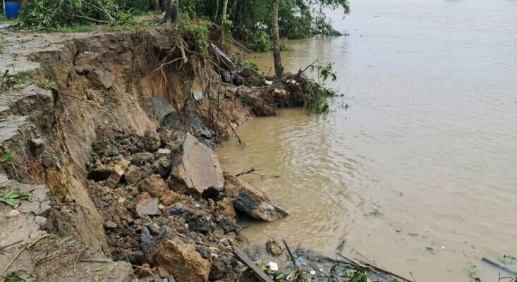 Bờ sông bị sạt lở nghiêm trọng sau lũ