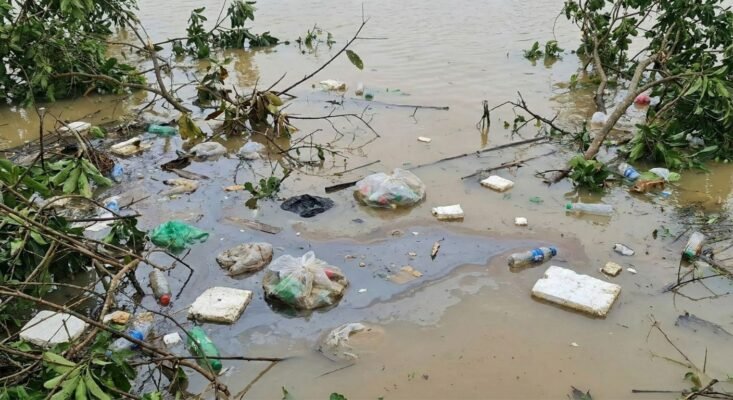 Rác thải nhựa và vệt dầu loang trên mặt nước lũ
