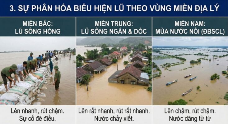 Sự phân hóa biểu hiện lũ theo đặc thù vùng miền địa lý
