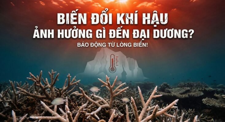 Biến đổi khí hậu ảnh hưởng gì đến đại dương